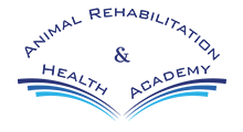 Dre-Magalie-Chenard-Veterinaire-Certification-Animal-Rehabilitation-Health-Academy