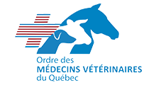Dre-Magalie-Chenard-Veterinaire-Ordre-des-medecins-veterinaires-du-Quebec