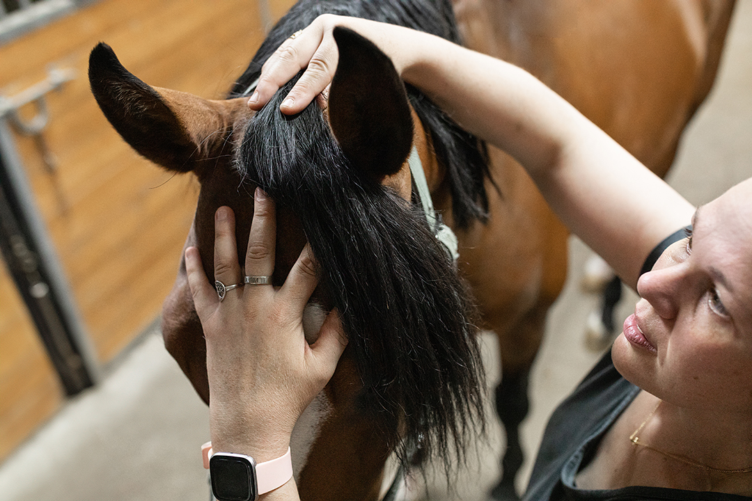 Dre-Magalie-Chenard-veterinaire-osteopathie-animal-vieillissant