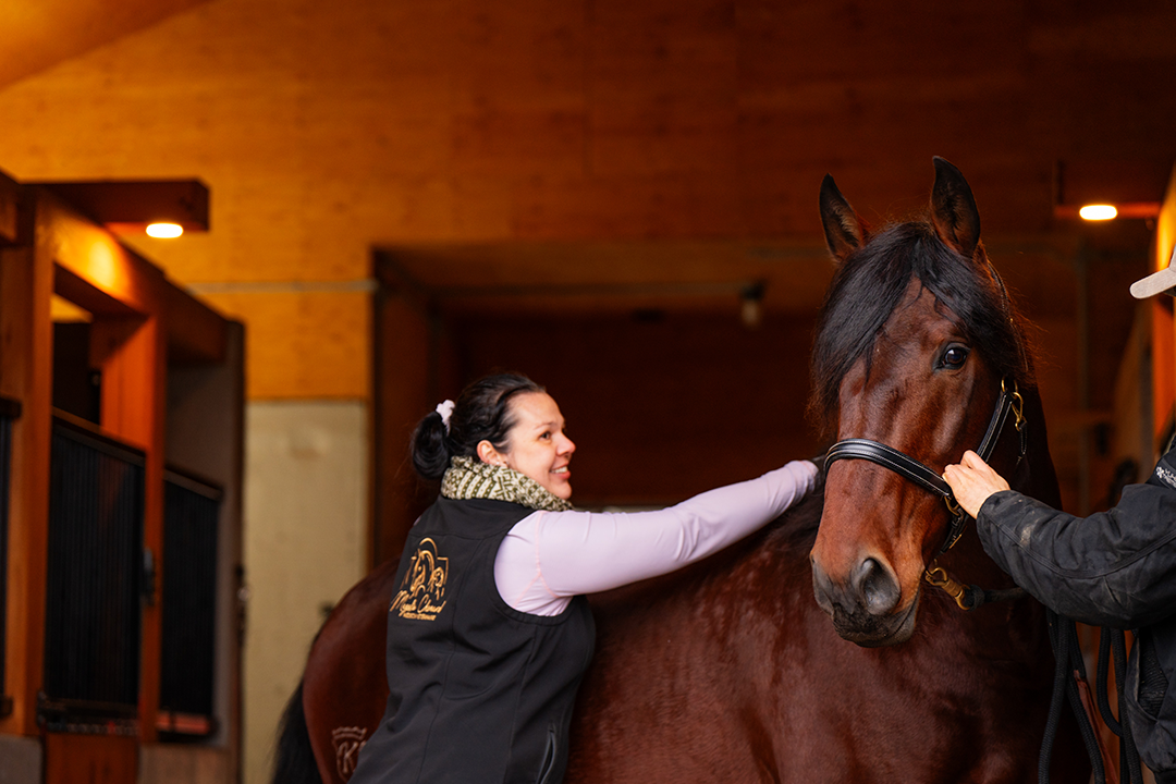 Dre-Magalie-Chenard-veterinaire-equin-canin-chevaux-chiens Médecin vétérinaire